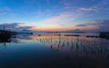 Beautiful sunrise landscape view of Samchong-tai in Phang-Nga,Thailand. Royalty Free Stock Photo