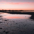 Beautiful sunrise at low tide in Port Welshpool