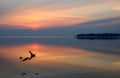 Beautiful sunrise mirrored in water smooth surface. Dnieper river, Ukraine