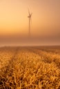 Beautiful sunrise with mist and eolian mill in the background in summer time on Wheat Field