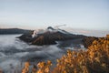 Beautiful sunrise at Mount Bromo , the active volcano in Bromo Tengger Semeru National Park, East Java, Indonesia. Royalty Free Stock Photo