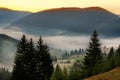 Beautiful sunrise in the mountains. The rays of the final light through the coniferous trees in the forest on the mountains. incre