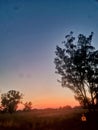 Beautiful sunrise near Benalla vic Royalty Free Stock Photo