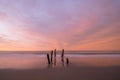 Beautiful sunrise of old jetty piles at St. Clair Beach in Dunedin, New Zealand Royalty Free Stock Photo