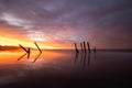 Beautiful sunrise of old jetty piles at St. Clair Beach in Dunedin, New Zealand Royalty Free Stock Photo