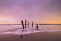 Beautiful sunrise of old jetty piles at St. Clair Beach in Dunedin, New Zealand