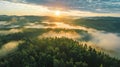 A beautiful sunrise over a forest and misty lake Royalty Free Stock Photo