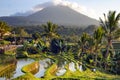 Beautiful sunrise over the Jatiluwih Rice Terraces against the background of spellbinding Mount Batukaru Royalty Free Stock Photo