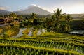 Beautiful sunrise over the Jatiluwih Rice Terraces in Bali. Royalty Free Stock Photo