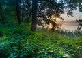 Beautiful sunrise over misty lake. Royalty Free Stock Photo