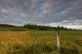 Beautiful sunrise over misty meadow Royalty Free Stock Photo