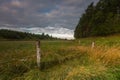 Beautiful sunrise over misty meadow Royalty Free Stock Photo