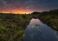 Beautiful sunrise over misty meadow and stream Royalty Free Stock Photo