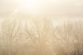 Beautiful sunrise over trees and hills on a foggy day Royalty Free Stock Photo