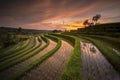 Sunrise at JatiLuwih Tabanan Bali Royalty Free Stock Photo