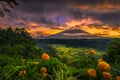 Morning Glory at Karangasem Bali Royalty Free Stock Photo