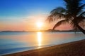 Beautiful sunrise on tropical paradise island beach landscape, scenic sunset on sea coast golden sun, blue sky, pink clouds, palm Royalty Free Stock Photo