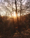 Beautiful sunrise view at Hanner Fels near Bad Urach in the Swabian Jura Royalty Free Stock Photo