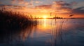 Beautiful sunset above the lake at evening with cloudy sky and reed grass AI generated Royalty Free Stock Photo