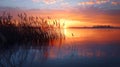 Beautiful sunset above the lake at evening with cloudy sky and reed grass AI generated Royalty Free Stock Photo