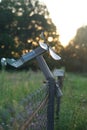 Beautiful sunset above the windmills on the field Royalty Free Stock Photo