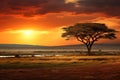 Beautiful sunset in the African savannah. A lonely tree standing against the backdrop of the steppe and sunset rays