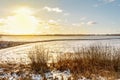 Beautiful sunset on a background of a snowy field with orange dry grass and bushes