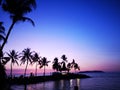 Beautiful sunset surrounding with coconut trees on the shore.