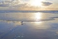 Beautiful sunset at the beach on a cloudy summer day. Seascape and landscape of a golden sunrise on the coastline of Royalty Free Stock Photo