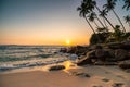 Beautiful sunset on the beach with coconut palms. Sri-Lanka islands. Royalty Free Stock Photo