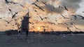 The beautiful Jumeirah beach with the view to Burj Al Arab in Dubai