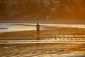 Beautiful sunset on the beach. A beautiful girl alone walking on the beach sand at dusk. Golden sunset light over the entire envir