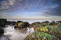 Beautiful sunset on the beach. Seascape with an impressive blue, purple sky. Green rocks in foreground