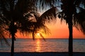 Beautiful sunset on the beach, sun goes down to the sea through two Palm trees on the bayshore. Calm ambient, rest and relaxation Royalty Free Stock Photo