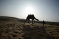 Beautiful sunset with camel silhouette