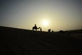 Sunset with camels silhouettes in desert