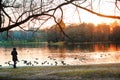 Beautiful sunset in the city park with girl looking on water Royalty Free Stock Photo