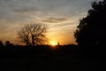 Beautiful sunset close to Sabaki river next to Malindi Royalty Free Stock Photo