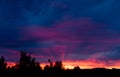 Beautiful sunset with clouds, diverging rays of light over the city and tall trees. Dark blue sky, pink rays, orange Royalty Free Stock Photo