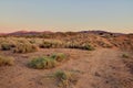 Beautiful Sunset In The Southern California Desert City Palmdale Royalty Free Stock Photo