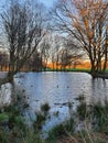 Beautiful sunset colours above the pond Royalty Free Stock Photo