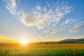 Beautiful sunset with corn field Royalty Free Stock Photo