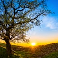 Beautiful sunset in the countryside Royalty Free Stock Photo