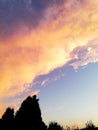 Beautiful sunset in the countryside. Trees against the sky. Evening sky.