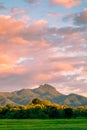 Beautiful sunset and dark clouds on rice fields with trees and b Royalty Free Stock Photo