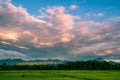 Beautiful sunset and dark clouds on rice fields with trees and b Royalty Free Stock Photo