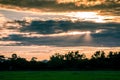 Beautiful sunset and dark clouds on rice fields with trees and b Royalty Free Stock Photo