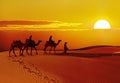 Beautiful sunset at desert , Jaisalmer,India Royalty Free Stock Photo