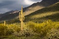 Beautiful sunset desert view is from the McDowell Sonoran Preserve in Scottsdale, Arizona Royalty Free Stock Photo