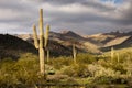 Beautiful sunset desert view is from the McDowell Sonoran Preserve in Scottsdale, Arizona Royalty Free Stock Photo